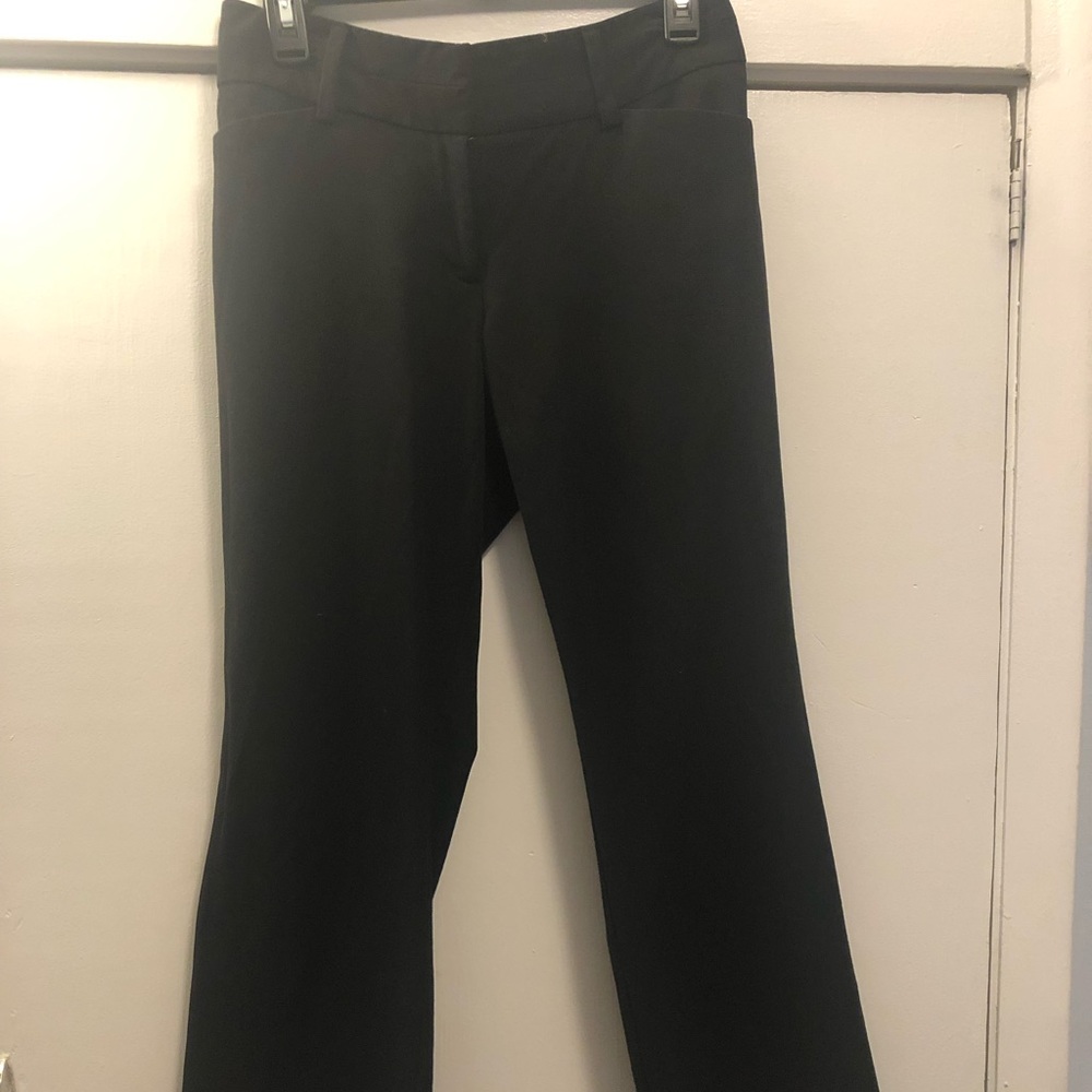 New York and company Petite Slacks